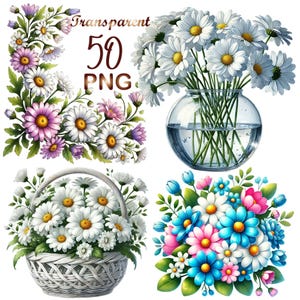 50 PNG Daisies Clipart, Daisy Clipart, Daisy Watercolor clipart, Daisy Painting, Daisy Wallpaper, Daisy Wreath, Daisy Sublimation