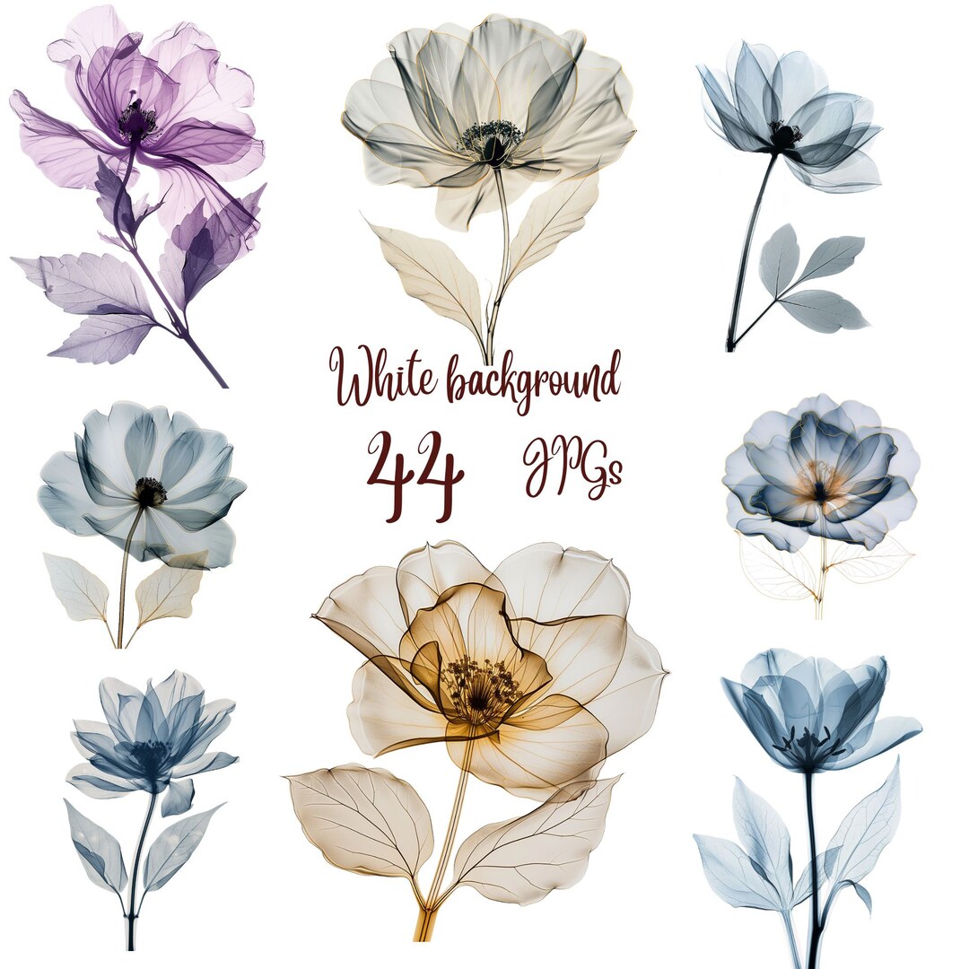 44 Jpgs, Abstract Flowers Clipart Bundle, Dried Flowers, Printable ...