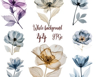 44 JPGs, Abstract Flowers Clipart bundle, Dried Flowers, Printable Watercolor clipart, Digital download, Paper craft, junk journals