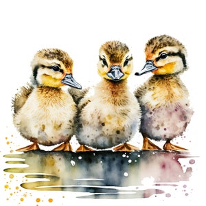 10 Ducklings clipart, baby duck clipart, duckling, animal clipart,watercolor duck,digital illustration,JPGs, Commercial Use,Digital Download