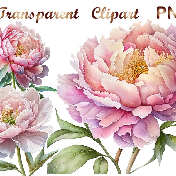 10 Peony Flower png, Peony png, Digital Download, Commercial use, Mixed Media, Digital Craft, Watercolor clipart, Flowers png