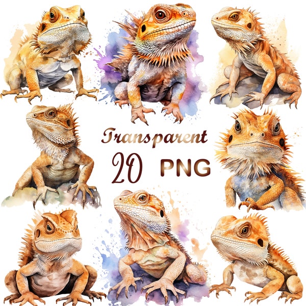 20 Watercolor Bearded Dragon clipart PNG, Bearded Dragon Clipart, Bearded Dragon png, Dragon clip art design,Commercial Use,Digital download