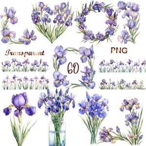 Puede incluir: Ilustraciones en acuarela de flores de iris moradas en varios arreglos. La imagen incluye ramos, coronas y bordes florales. Las palabras "Transparent" y "PNG" están escritas en la imagen, junto con el número "60".