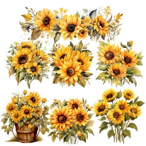 Puede incluir: Una colecci&oacute;n de nueve ilustraciones de acuarela de girasoles en diferentes arreglos. Los girasoles se representan en tonos de amarillo y marr&oacute;n, con hojas y tallos verdes. Algunos de los girasoles est&aacute;n en ramos, mientras que otros est&aacute;n en un cubo de madera.