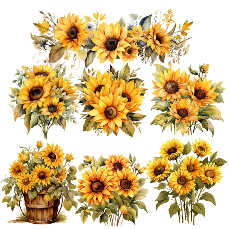 Puede incluir: Una colecci&oacute;n de nueve ilustraciones de acuarela de girasoles en diferentes arreglos. Los girasoles se representan en tonos de amarillo y marr&oacute;n, con hojas y tallos verdes. Algunos de los girasoles est&aacute;n en ramos, mientras que otros est&aacute;n en un cubo de madera.