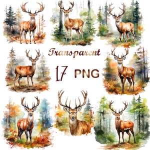 17 Watercolor Forest deer clipart png, Forest deer png, Forest deer clipart, deer clipart, watercolor deer, cute deer png, digital download