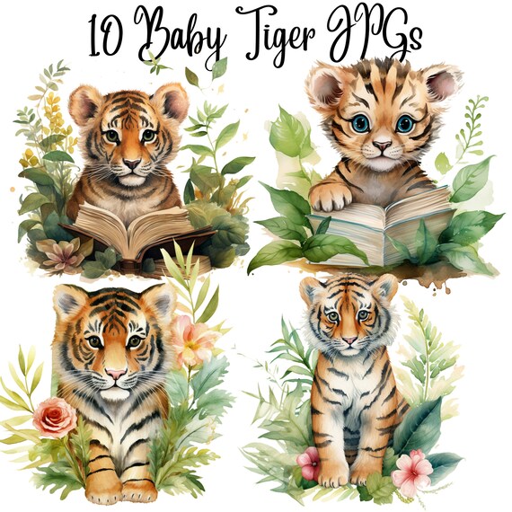10 Watercolor Tiger, Baby Tiger, Tiger Cubs, Tiger Clipart,Jpgs.
