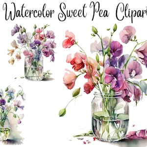 10 Sweet Pea in a Vase Clipart, JPGs, Commercial use, Digital Download, Card Making, Digital Paper Craft, Watercolor clipart, Flowers