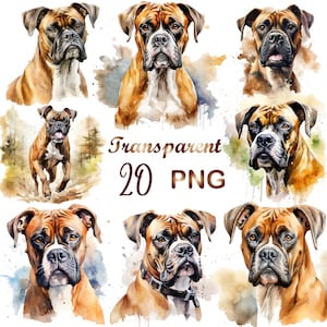 20 Watercolor Boxer Dog clipart PNG, Miniature Dog Clipart, Boxer Dog png, dog print, Boxer clip art design, Commercial Use,Digital download