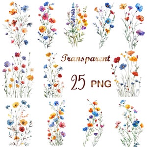25 PNG, Wildflower meadow clipart,Summer floral nature images,Wild flowers for print,collage, scrapbook,junk journal etc Free commercial use