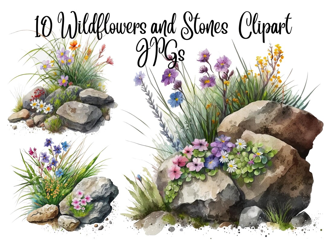10 Wildflowers and Stones Clipart Floral Clipart Jpgs Etsy