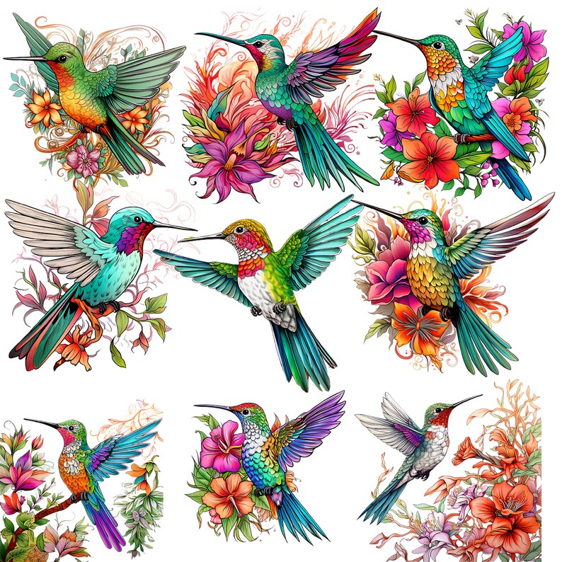 Op de afbeelding: Een digitale illustratie van negen kleurrijke kolibries met ingewikkelde bloemmotieven. De kolibries worden afgebeeld in verschillende poses, met hun vleugels uitgespreid en hun snavels open. De bloemen zijn een mix van roze, rood, oranje en geel.