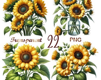 Watercolor sunflowers clipart bundle, 22 PNG sunflower wreath, floral clip art, sunflower sublimation, commercial use, digital download