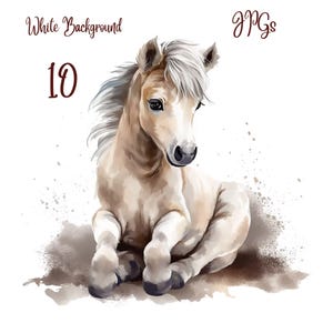 10 Baby Horse Clipart, Watercolor Art, JPGs, Commercial use, Digital Download,Watercolor Clipart,Card Making,Clip Art,Digital Paper Craft