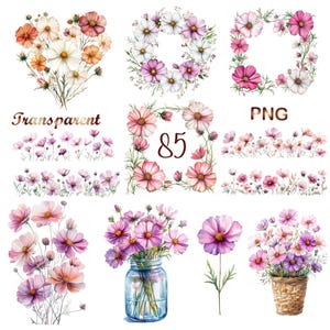 Puede incluir: Arreglos florales de acuarela con flores de cosmos en varias formas, incluyendo un corazón, una corona y un marco cuadrado. Las flores son en tonos rosa, blanco y naranja, con follaje verde. La palabra "Transparent" está escrita en guión dorado.