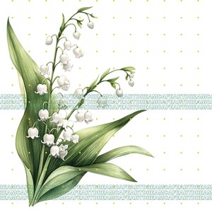 Lily of the Valley Watercolor Clipart, 70 Convallaria Majalis Flowers ...