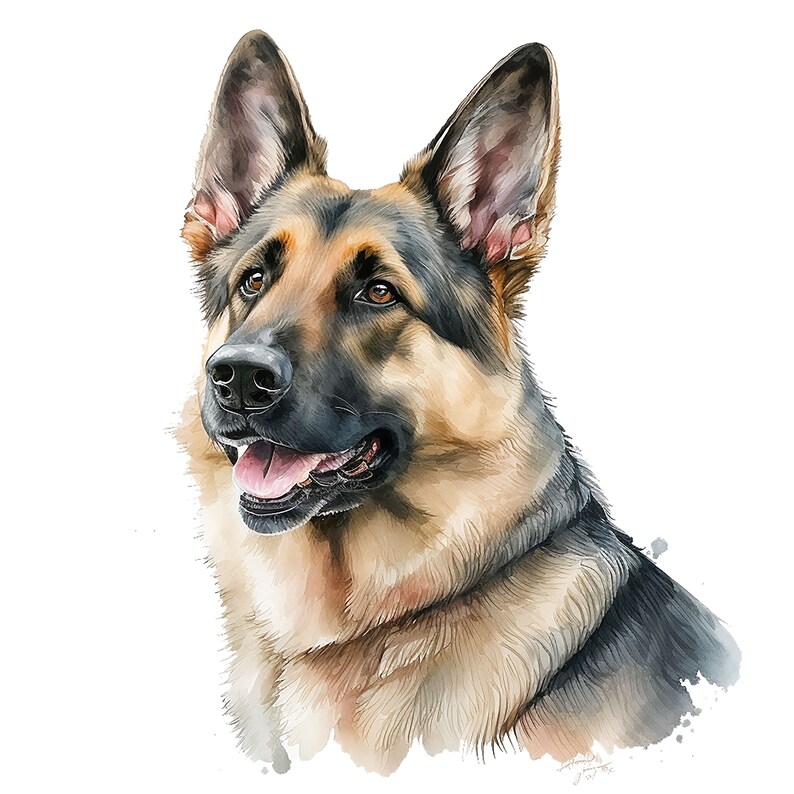 May include: A watercolor painting of a German Shepherd dog with brown and black fur. The dog is looking to the right and has its tongue slightly sticking out. The background is white.
