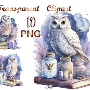 Owl png, Magic Owl png, Owl Clipart, owl sublimation, commercial use, digital download, owl print, owl,sublimation png,sublimation design