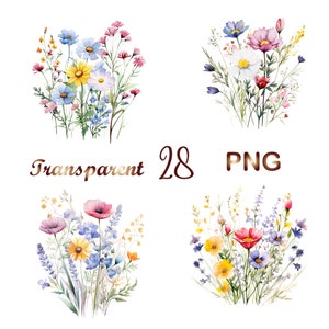 28 Wildflower meadow clipart PNG,Summer floral nature images,Wild flowers for print,collage, scrapbook, junk journal etc Free commercial use