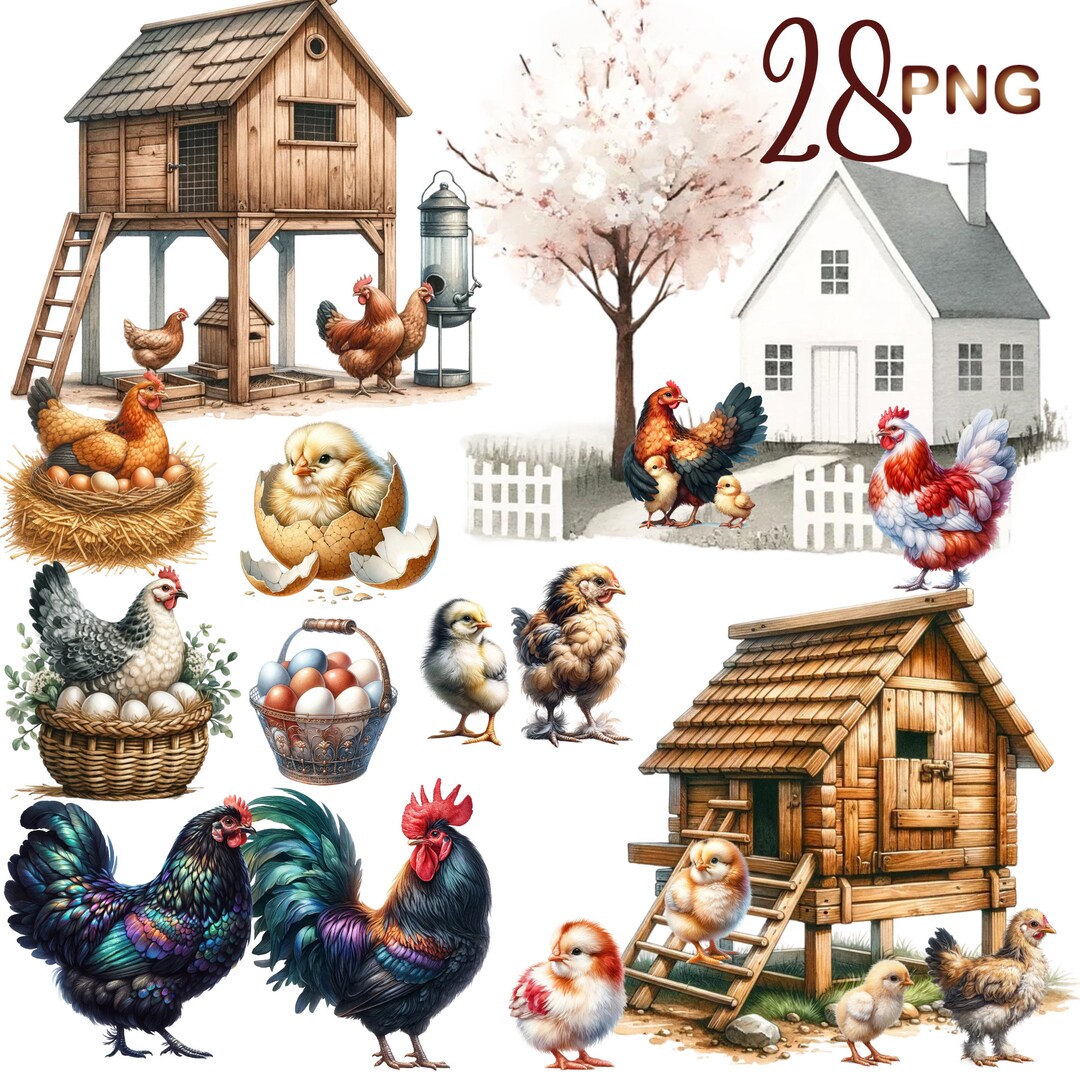 Rustic Chicken Vector 28 PNG, Chicken and Rooster Clipart Bundle, Watercolor Rustic Farm Bird ...
