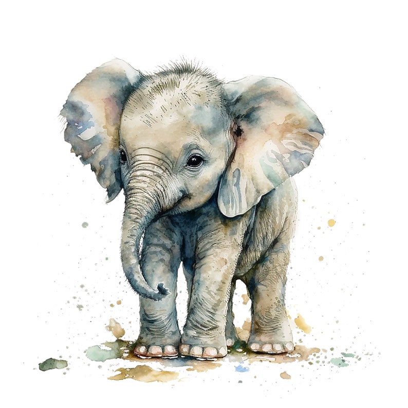 15 Safari Baby Animals Watercolor Clipart, Jpgs, Digital Crafting ...