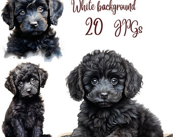 20 JPGs, Black Poodle Puppy Dogs Watercolor Clipart, Black Poodle Puppy bundle, Black Poodle clipart digital download, Commercial Use