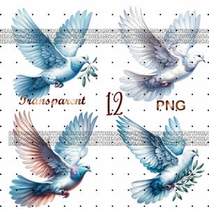 12 PNG, Dove Clipart,Dove in flight,Dove with olive branch,Dove illustration,Dove graphics,Dove png,Dove image,Religious dove,Christian dove