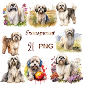 21 Watercolor Lhasa Apso Clipart, r Lhasa Apso PNG, Watercolor Lhasa Apso png, Cute Lhasa Apso clipart, Digital Download, Commercial USe