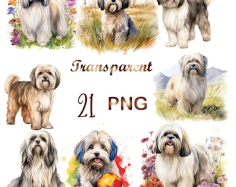 21 Watercolor Lhasa Apso Clipart, r Lhasa Apso PNG, Watercolor Lhasa Apso png, Cute Lhasa Apso clipart, Digital Download, Commercial USe