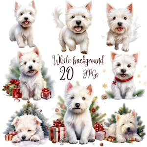 20 Westie Dogs Watercolor Clipart JPGs,High Quality JPGs, West Highland White Terrier, Watercolor Dogs and Puppies for Commercial Use,Cute