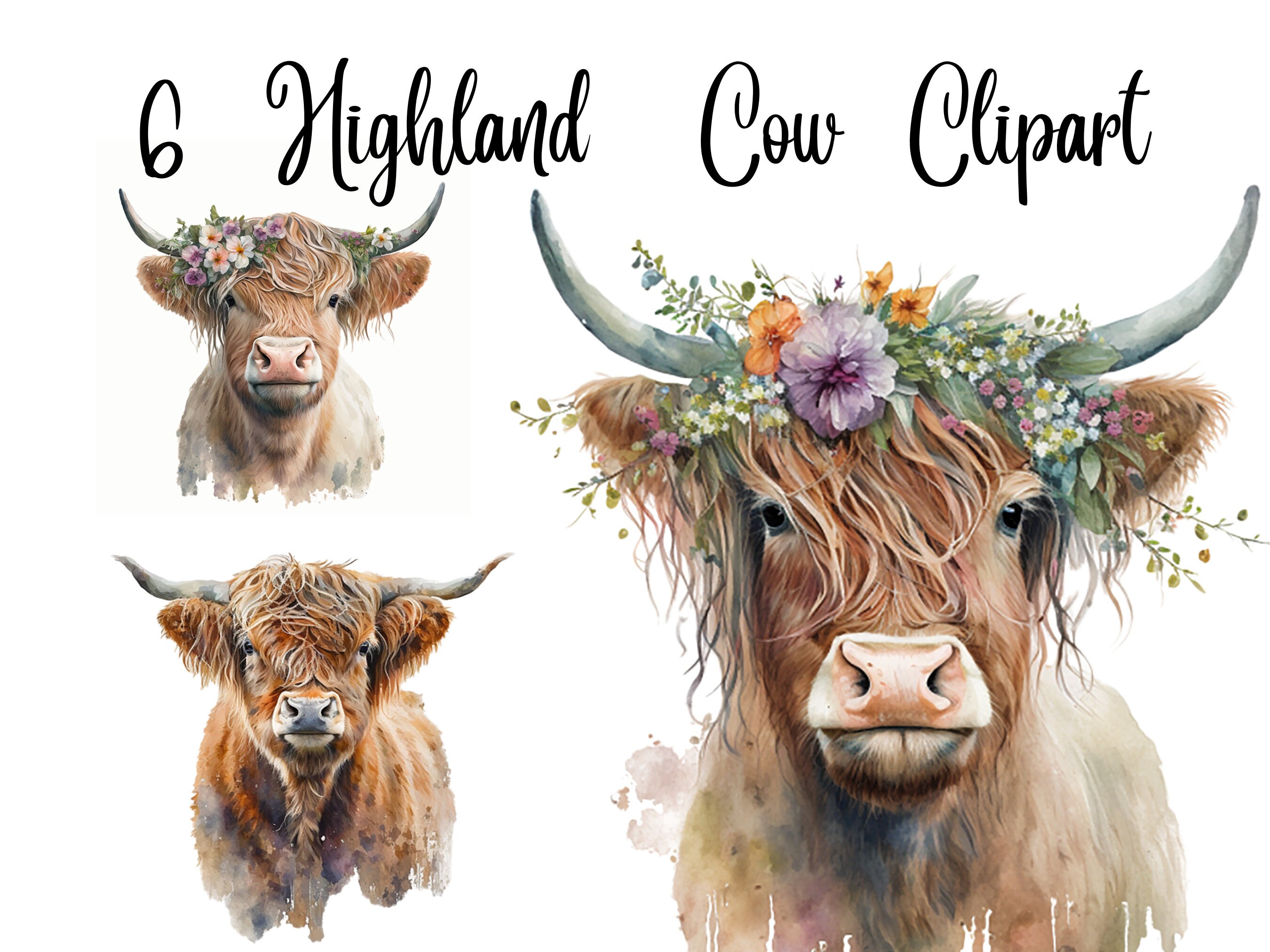6 Highland Cow With Flower Crown Clipart High Quality Jpgs Etsy