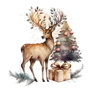 11 Cute Fawn Clipart , Christmas Deer Clipart, High Quality Jpgs ...