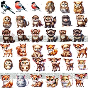 Puede incluir: Una colecci&oacute;n de ilustraciones en acuarela con varios animales. La imagen incluye p&aacute;jaros, b&uacute;hos, ardillas, ciervos, zorros, osos, erizos y otras criaturas del bosque. Cada animal est&aacute; representado en un estilo lindo y de dibujos animados con colores suaves.