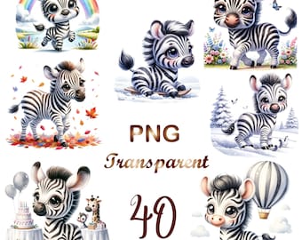 40 PNG, Watercolor Baby zebra clipart bundle, cute zebra clipart, little zebra, baby zebra clipart, Commercial use, Digital Download