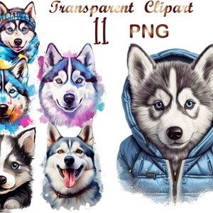 11 Husky png,husky clipart,siberian husky png,huskies png,dog print,dog png,husky, sublimation design, Commercial USe, Digital download