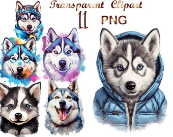 11 Husky png,husky clipart,siberian husky png,huskies png,dog print,dog png,husky, sublimation design, Commercial USe, Digital download