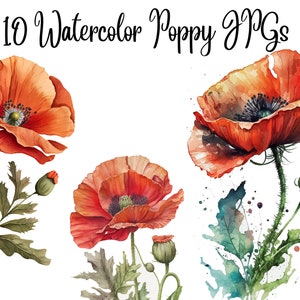 10 Poppy Clipart, Floral Clipart, JPGs, Commercial use, Digital Download,Watercolor Clipart,Card Making,Clip Art,Digital Paper Craft