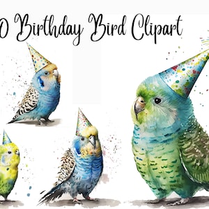 10 Birthday Bird Clipart, Budgie, Budgerigar, budgerigar clipart, budgie clipart, JPGs, Watercolor, Commercial Use,Digital Download
