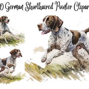10 JPGs PNGs, German Shorthaired Pointer Clipart, Graphic design, Digital Download, Card Making,Clip Art,Digital Paper Craft, Commercial use