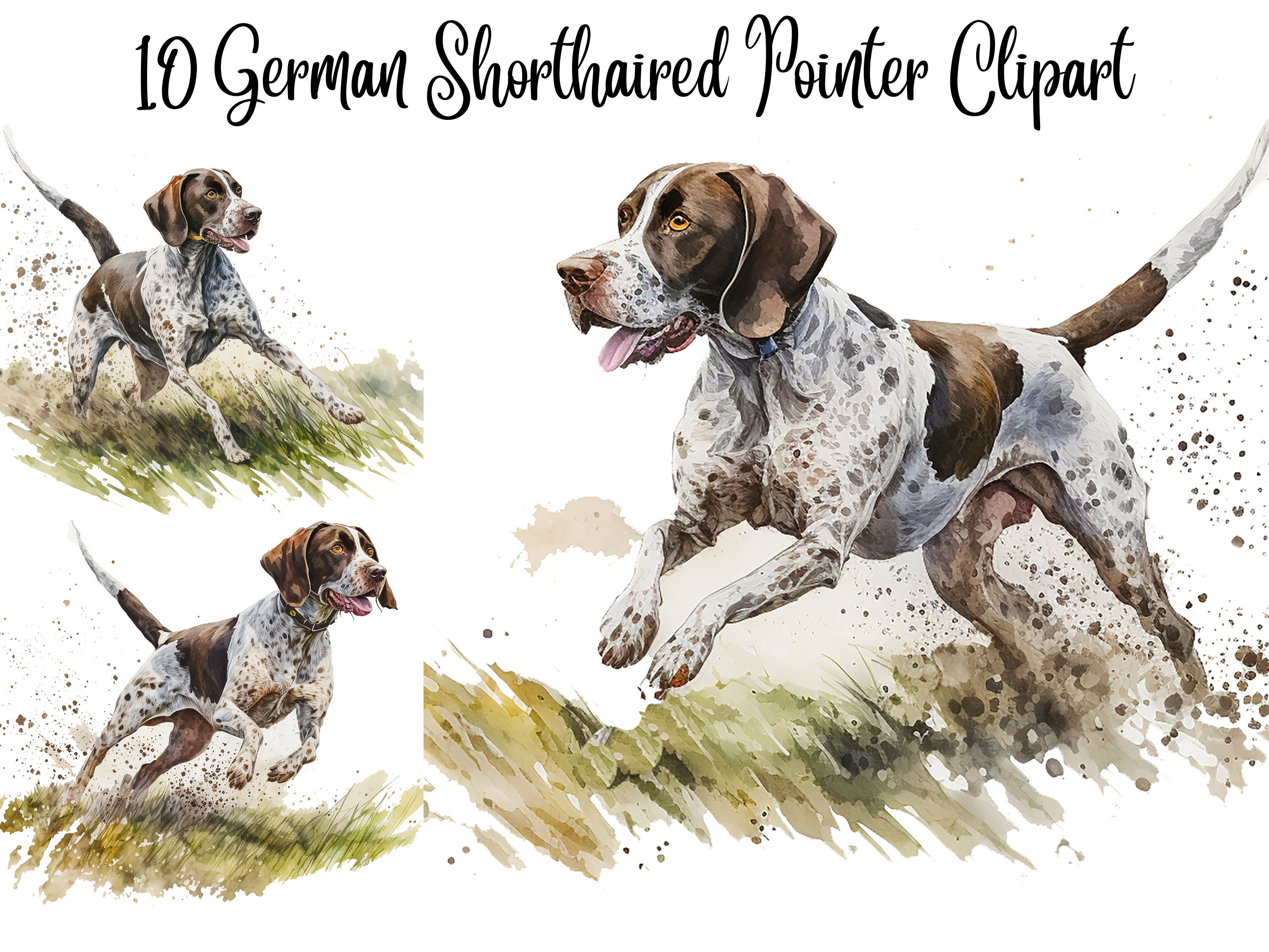 10 JPGs PNGs, German Shorthaired Pointer Clipart, Graphic design, Digital  Download, Card Making,Clip Art,Digital Paper Craft, Commercial use - Etsy  México, image size:2700x2025