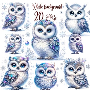 20 JPGs, Winter Owl Clipart bundle, Cute Owl Clipart, Colorful Owls, Owl artwork, Owl printable, Christmas Owl,Digital Download, Card Making