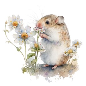 20 Flower Mouse Clipart High Quality Jpgs Digital Download Card Making ...