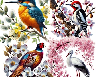Floral Birds Clipart Bundle: Spring Blossom Birds 45 PNG Graphics (Digital Download)