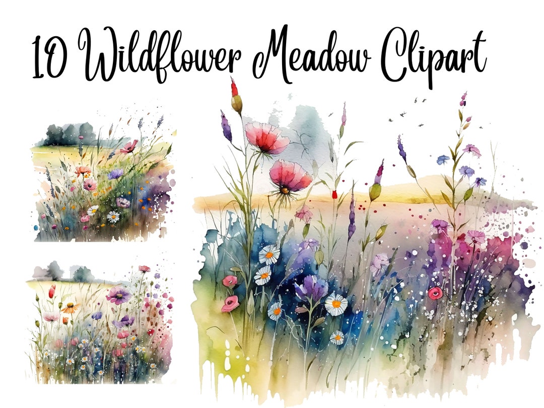 10 Wildflower Meadow Clipart, Watercolor clipart,Flowers clipart ...