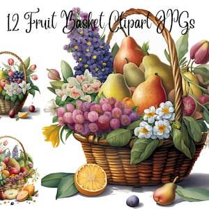 12 PNG JPG Fruit Basket clipart, Harvest Clipart,Watercolor Clipart,Card Making,Clip Art,Digital Craft, Commercial use, Digital Download