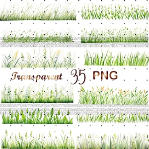35 png-grenzen gras aquarel clipart, lente plukjes gras botanisch png-formaat instant download voor commercieel gebruik, digitale download
