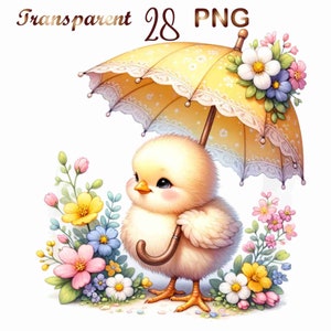 28 Png,easter Chicks Clipart,easter Bundle Clipart,easter Chicken ...