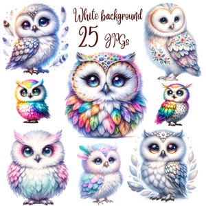 25 JPGs, Owl Clipart bundle, Cute Owl Clipart, Colorful Owls, Owl artwork, Owl printable, Digital Download, Card Making