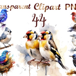 44 Watercolor bird clipart png, Red-winged Black bird clipart, Watercolor bird clipart, Garden pigeon bird, Barn Swallow, Carolina Wren bird