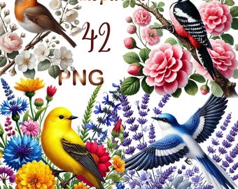42 PNG set 2 Floral Birds Clipart Bundle,Spring Birds Clipart, Blossom Bird Graphics,Birds On Branch Clipart,Digital Download,Commercial Use